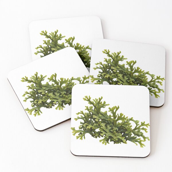 Item preview, Riccardia Sp Botanical Oil Painting Portrait designed and sold by Ocelot-T.