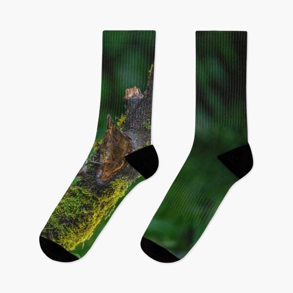 Item preview, The Woodland Drummer designed and sold by Darren Wilkes Wildlife UK.