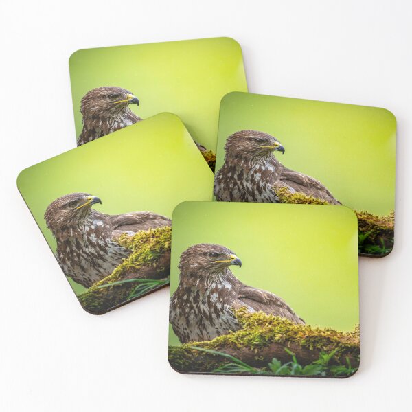 Item preview, A British Legend - The Buzzard  designed and sold by Darren Wilkes Wildlife UK.