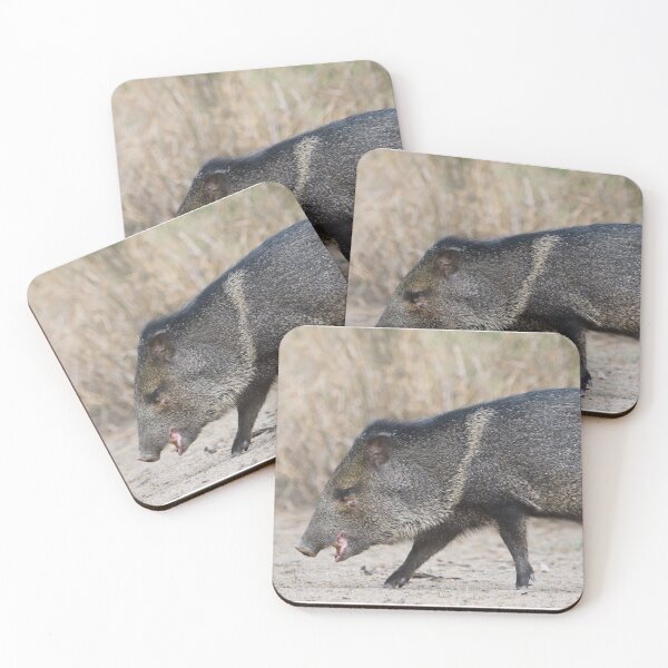 Item preview, Collared Peccary designed and sold by EnglandEcology.