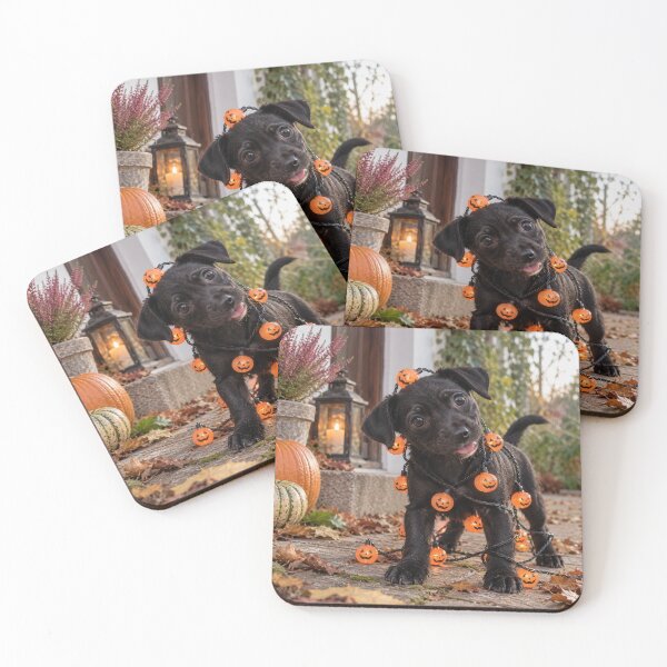 Item preview, Cute Black Puppy Wrapped in Halloween Pumpkin Lights designed and sold by Luka’s Little World.
