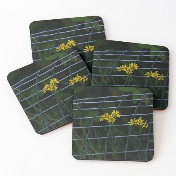 Item preview, Flowers Don't Care About Fences designed and sold by SpaceBoyMars.