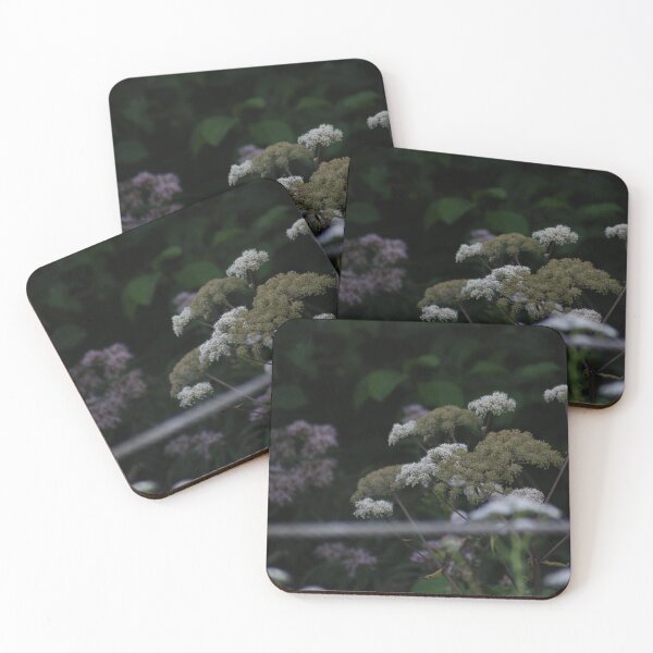 Item preview, Cow Parsley in Autumn Mist designed and sold by SpaceBoyMars.