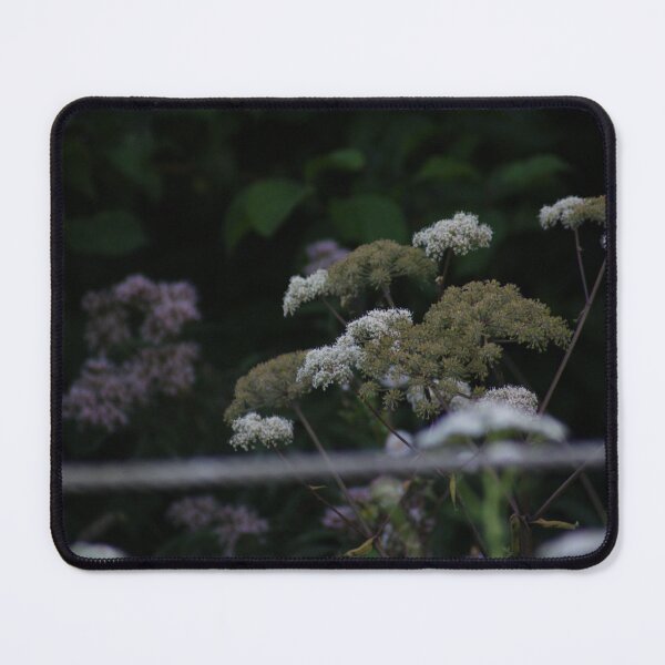 Item preview, Cow Parsley in Autumn Mist designed and sold by SpaceBoyMars.