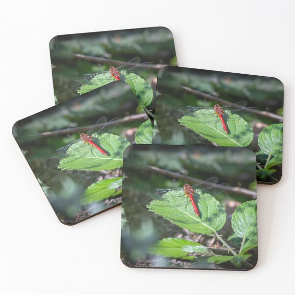 Item preview, Red male dragonfly  designed and sold by Stephen Jarman.