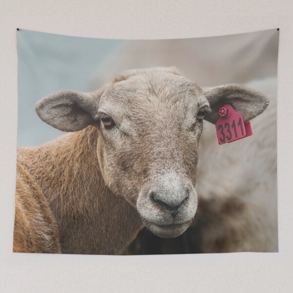 Item preview, Woolly 3311 designed and sold by Jim Love.