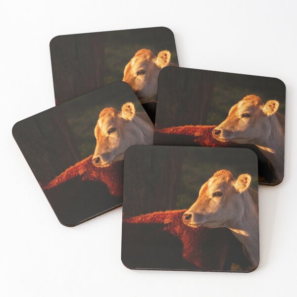 Item preview, Warmth Of The Coming Day designed and sold by Jim Love.