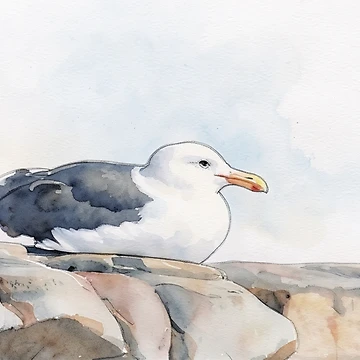Artwork thumbnail, Rock Perch Gull by RdeB