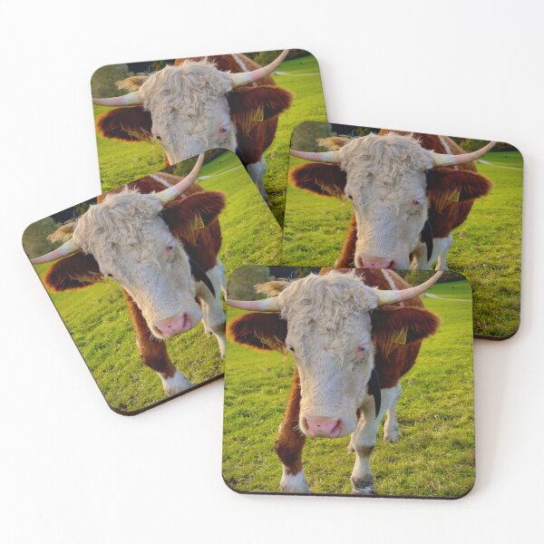 Item preview, Horned Cattle Portrait in Murnauer Moos Bavaria designed and sold by ingm4r | Reisefotografie.