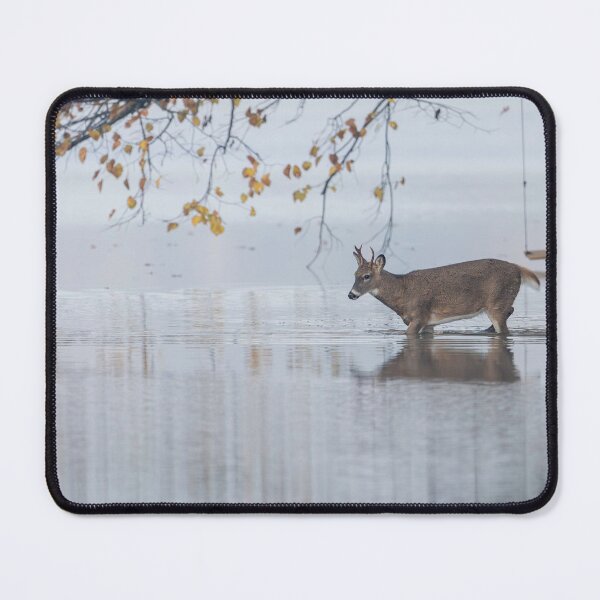 Item preview, Young Buck Going For A Swim 10-23-2026 designed and sold by Thomasyoung.