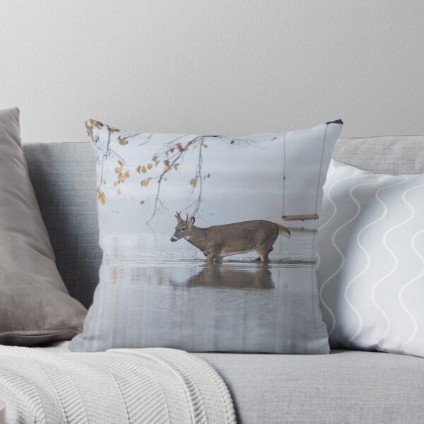 Item preview, Young Buck Going For A Swim 10-23-2026 designed and sold by Thomasyoung.