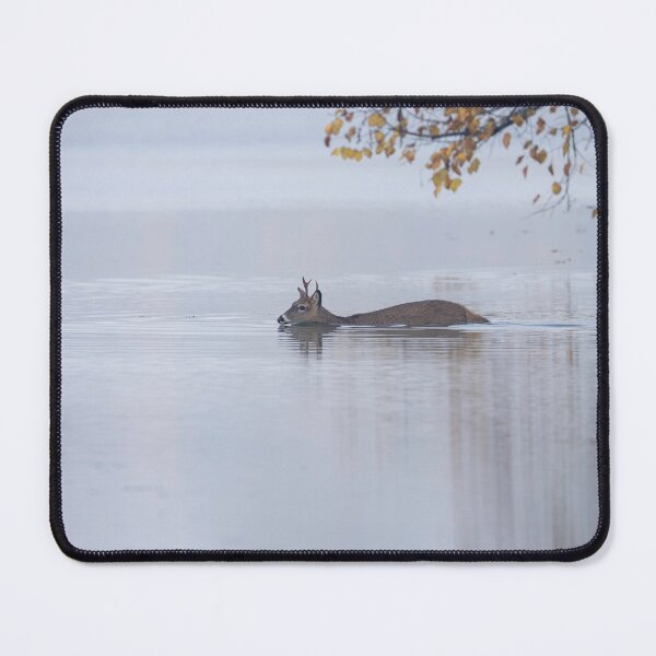 Item preview, Young Buck Swimming 10-23-2026 designed and sold by Thomasyoung.