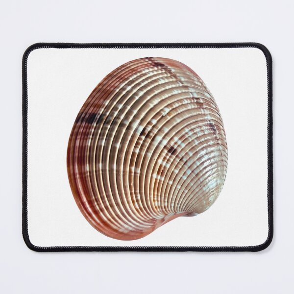 Item preview, Seashell designed and sold by di-Vera-Rosati.