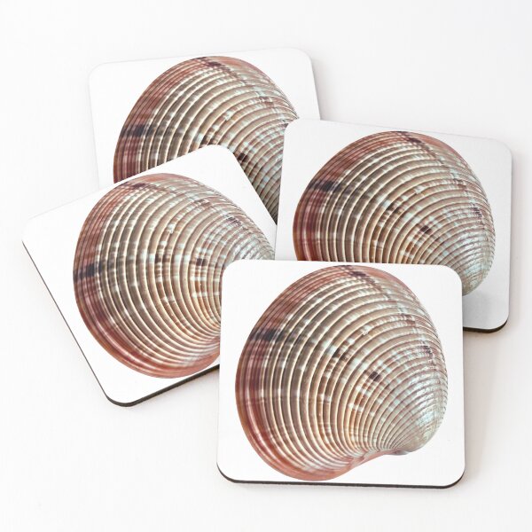 Item preview, Seashell designed and sold by di-Vera-Rosati.