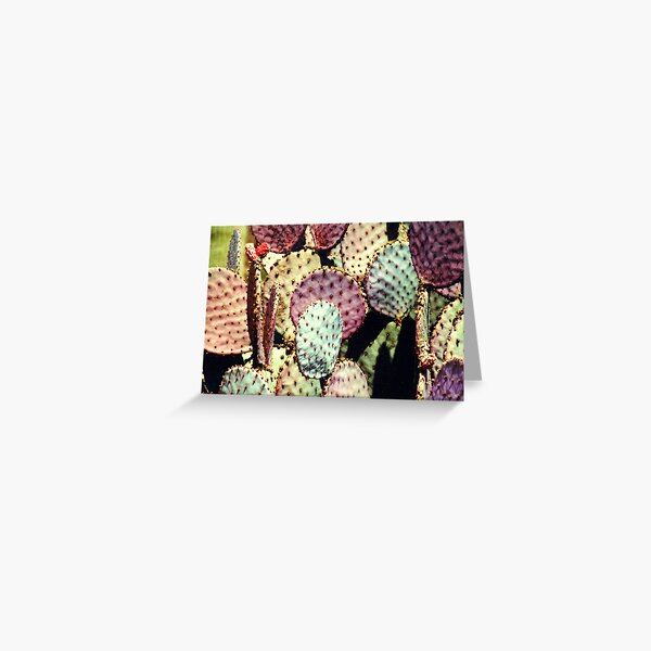 colourful prickly rackets Greeting Card