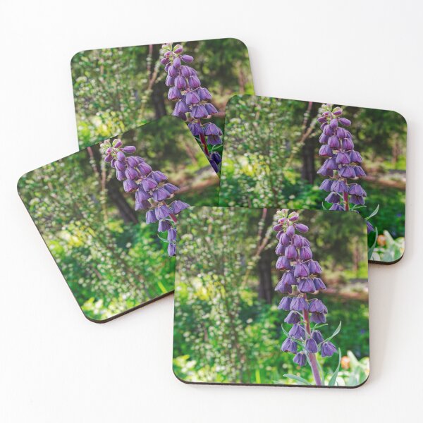 Item preview, Fritillaria Persica Persian Lily Dark Purple Bell Flowers Botanical Photography designed and sold by Rabee Khalil Photography.