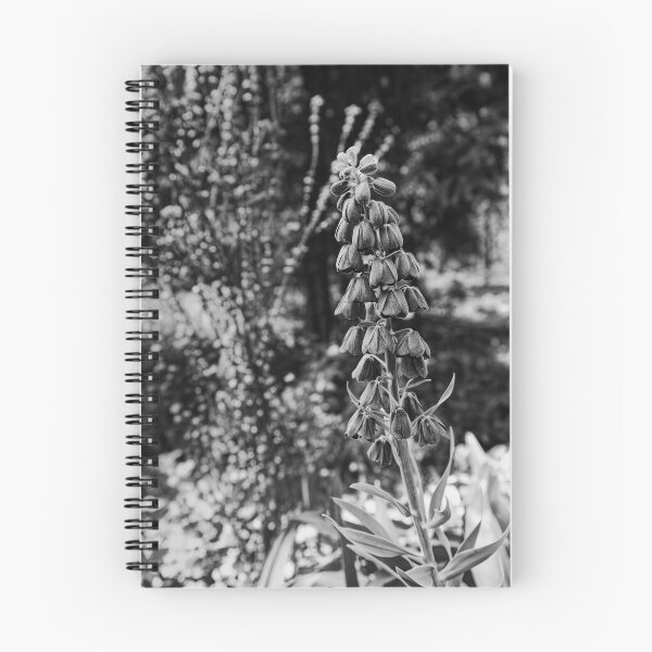 Item preview, Black and White Fritillaria Persica Persian Lily Botanical Photography designed and sold by Rabee Khalil Photography.