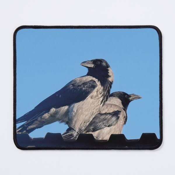 Item preview, Two hooded crows on a roof designed and sold by kavohh707.