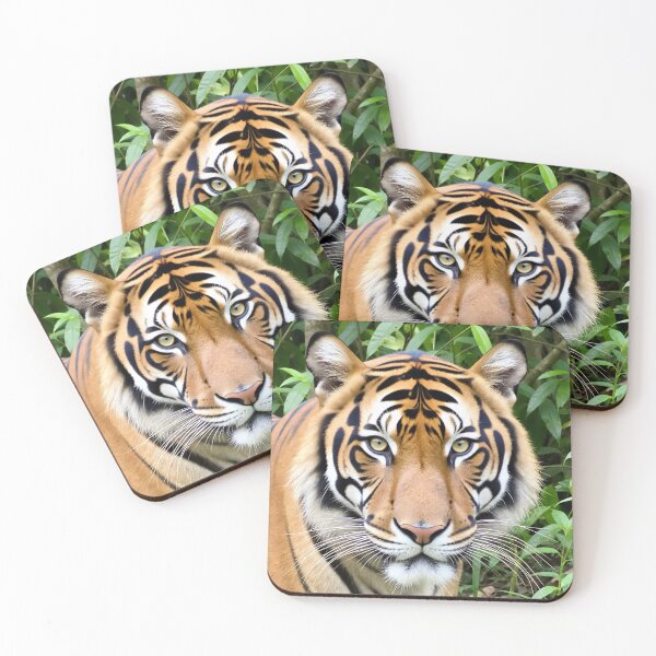 Item preview, Majestic Tiger in Lush Green Jungle Striking Tiger Face in Rainforest Foliage designed and sold by Sunnyarsi.