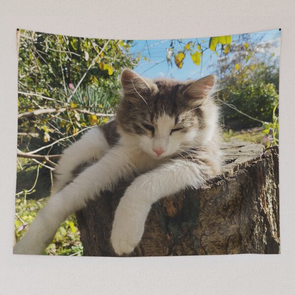 Item preview, Fluffy Kitten Napping on a Wooden Stump designed and sold by inspiration3.