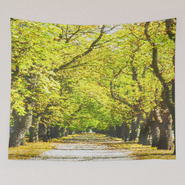 Item preview, Enchanted Forest Path Art    designed and sold by Londonimages.