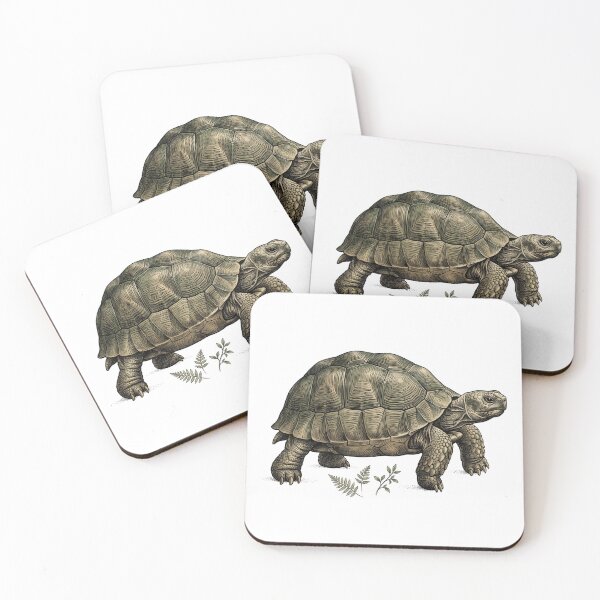 Item preview, Vintage Tortoise Natural History Illustration designed and sold by PinkyDona.