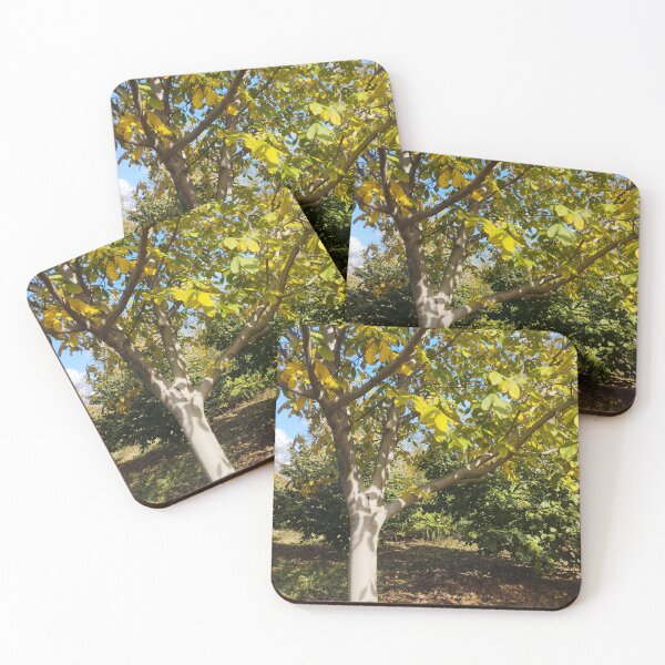 Item preview, Autumn Walnut Tree and Hazelnut Trees designed and sold by inspiration3.