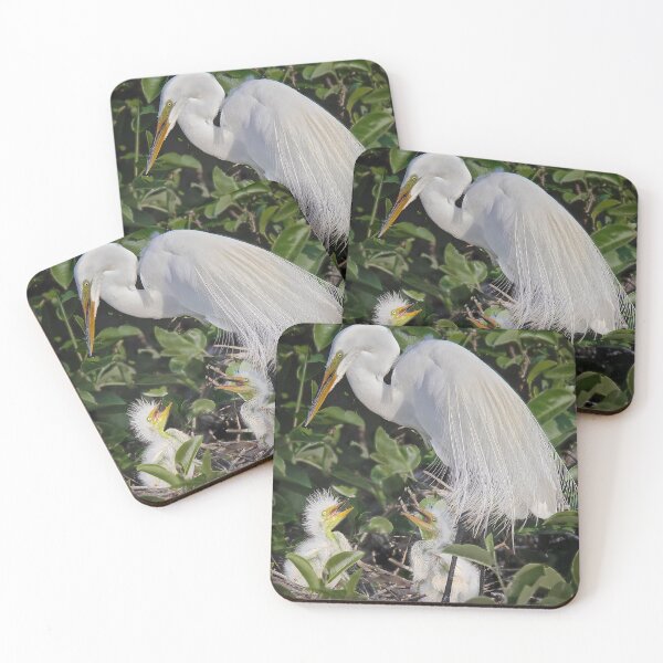 Item preview, Egret and Chicks designed and sold by Camera In Hand by Joel.