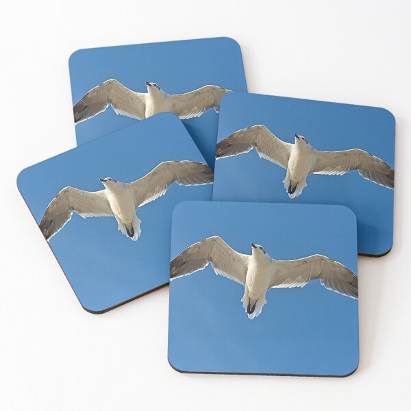 Item preview, Coastal Nature Photography Seagull in Flight designed and sold by Camera In Hand by Joel.