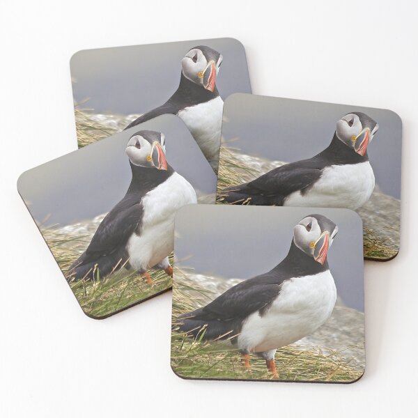 Item preview, Coastal Nature Photography Nordic Puffin designed and sold by Camera In Hand by Joel.