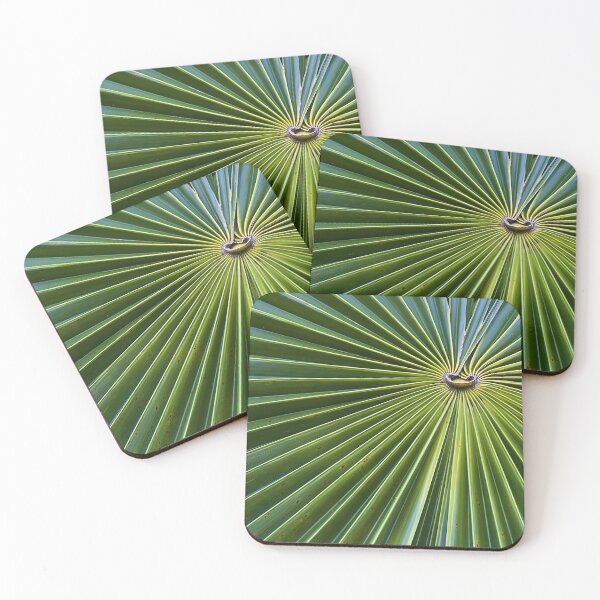 Item preview, Botanical Art Radiating Palm designed and sold by Camera In Hand by Joel.
