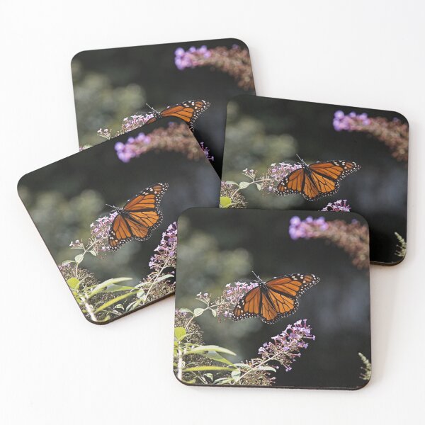 Item preview, Monarch butterfly, butterfly print, orange butterfly, monarch print, monarch butterfly print designed and sold by bwatkinsphoto.