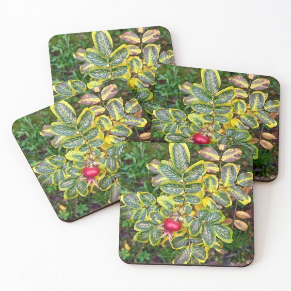 Item preview, rose hips in autumn designed and sold by LenaRus.