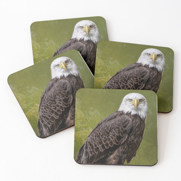 Item preview, Noble Bald Eagle designed and sold by jalfc46.