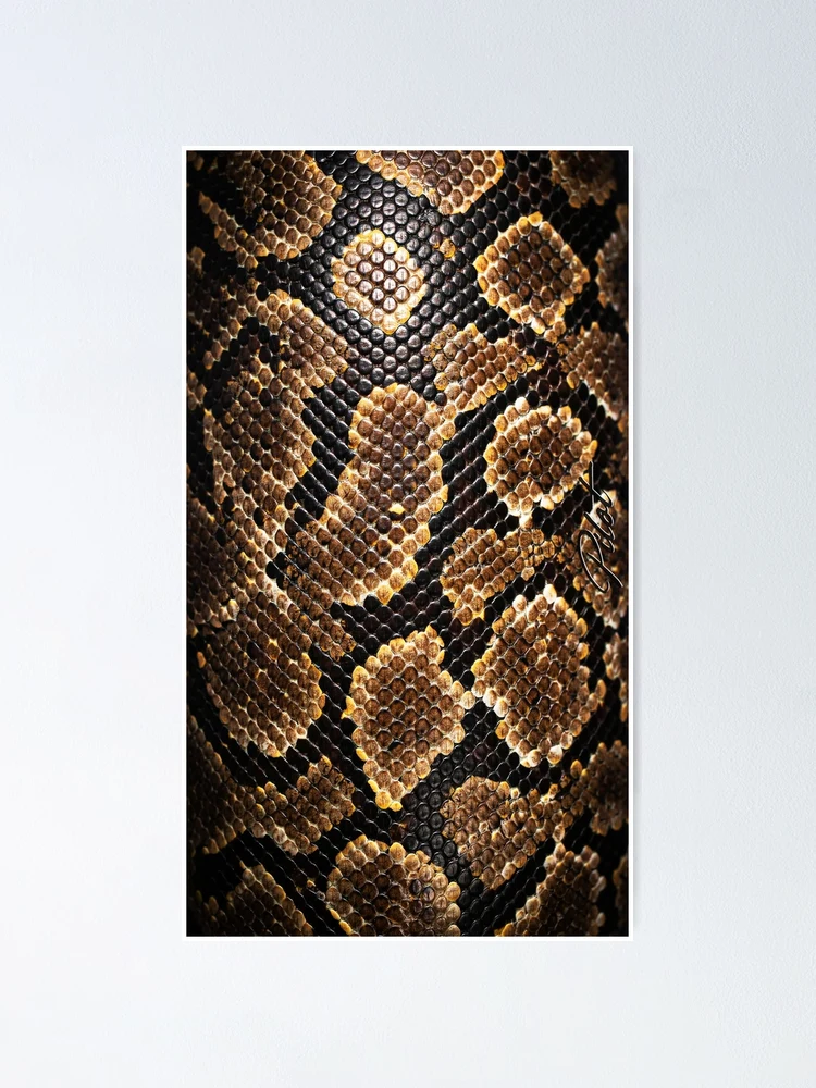 Thumbnail 1 of 3, Poster, Python Scale Texture designed and sold by Exodoi.