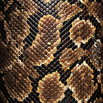 Artwork thumbnail, Python Scale Texture by Exodoi