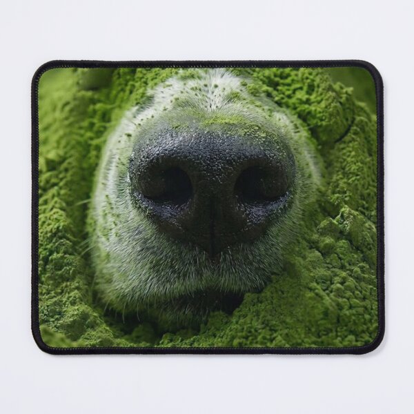 Item preview, Dog Nose Sniffing Matcha Powder – Matcha Vibes designed and sold by UUniqueIImprint.