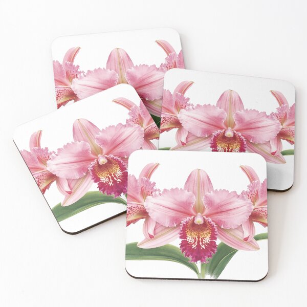 Item preview, Colombian flora and fauna designed and sold by Olgavelez.