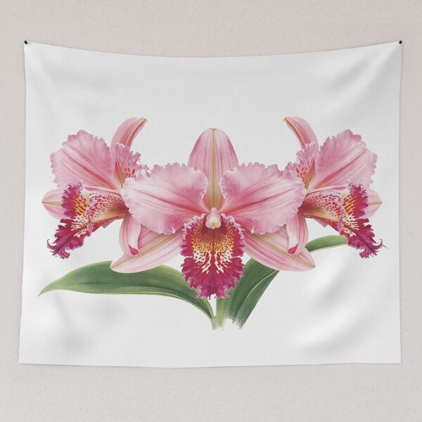 Item preview, Colombian flora and fauna designed and sold by Olgavelez.