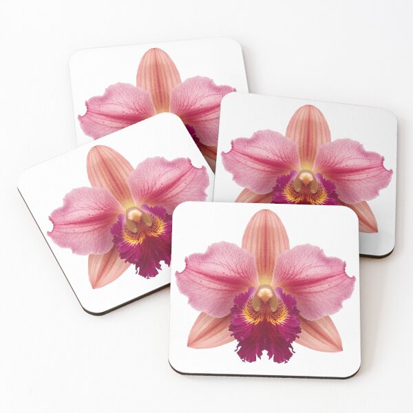 Item preview, Colombian flowers designed and sold by Olgavelez.