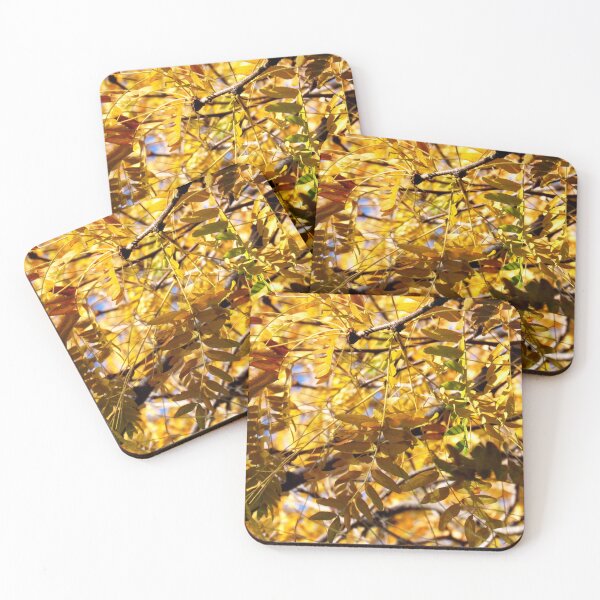 Item preview, honey locust designed and sold by AliceThornePhotography.