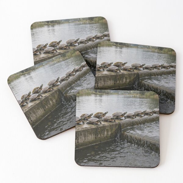 Item preview, Fifteen Turtles Standing on a Dam — Cropped View designed and sold by Stevercortinas.