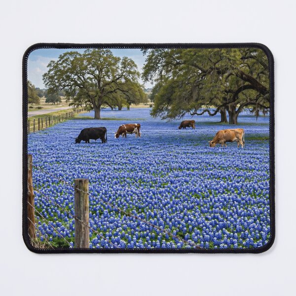 Item preview, Texas Bluebonnet Field with Cows and Barbed Wire Fence designed and sold by Stevercortinas.