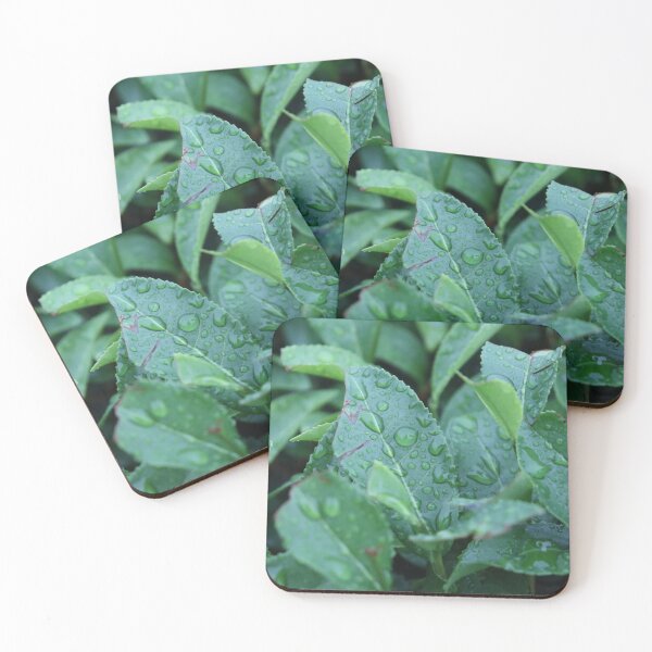 Item preview, Green Leaves with Raindrops designed and sold by neta98.