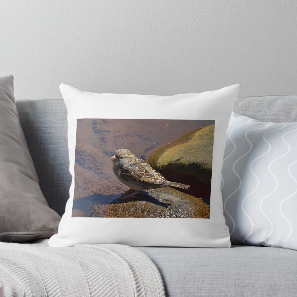 Item preview, Muddy Waters Vintage Style Nature and Music Inspired Artwork designed and sold by California  Antique.