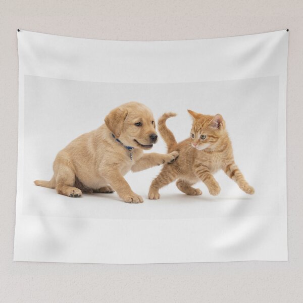 Item preview, Puppy Kitten Playtime designed and sold by Ragedaddy72.