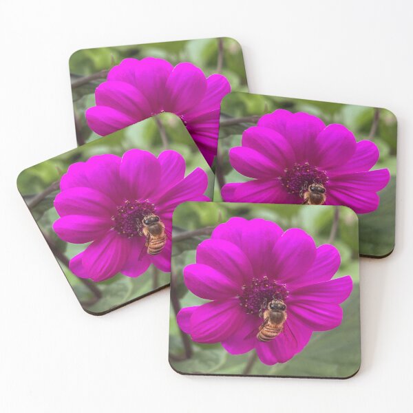 Item preview, Honey Bee Pollinating a Vibrant Magenta Senetti Pericallis Flower designed and sold by Be Captured by Brittany Emma.