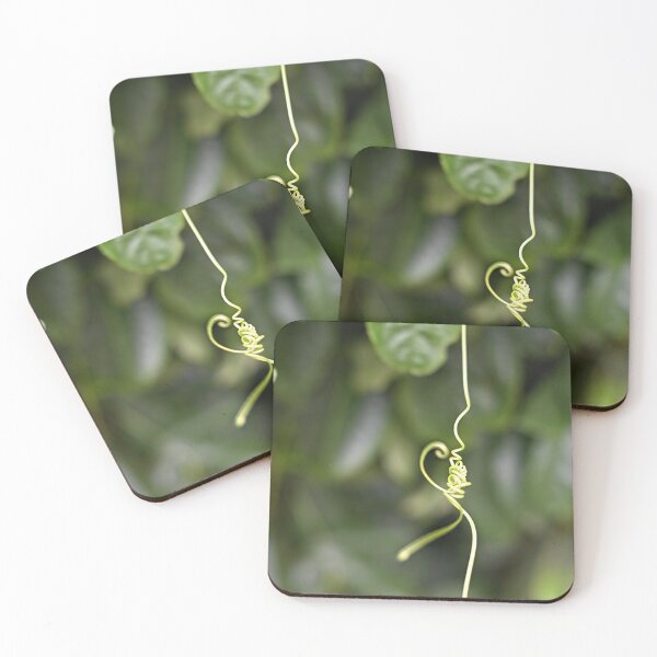 Item preview, Twisted Tendrils designed and sold by wendyhattonphotography.