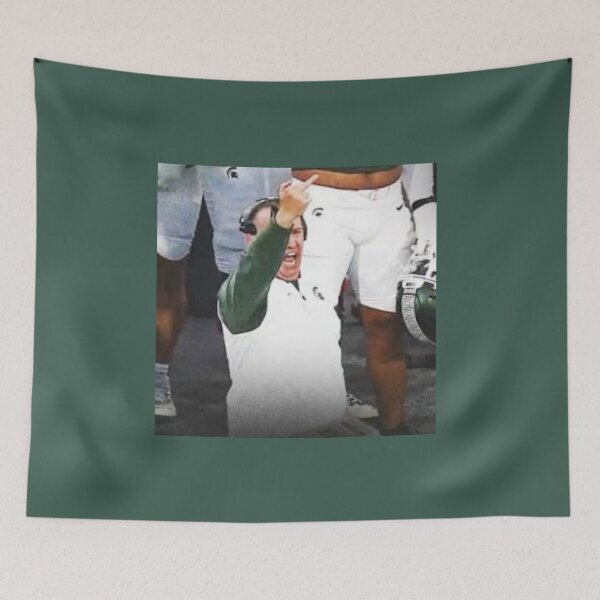 Item preview, Pat Fitzgerald vs. Illinois bench designed and sold by chickensoupshop.