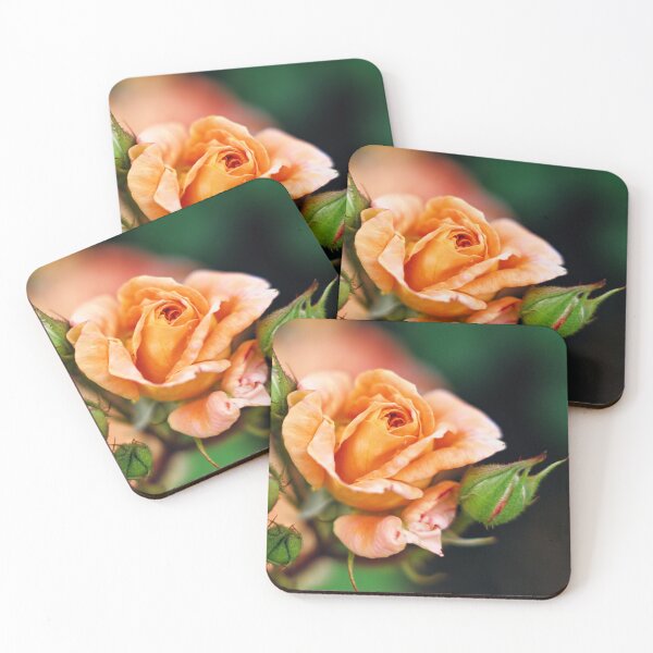 Item preview, Peach Rose in Bloom designed and sold by wendyhattonphotography.